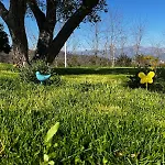 아파트 La Valle *